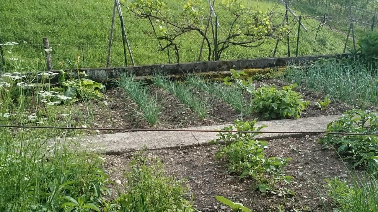 Вілла Ferme Familiale Chez Lili Alex Екстер'єр фото