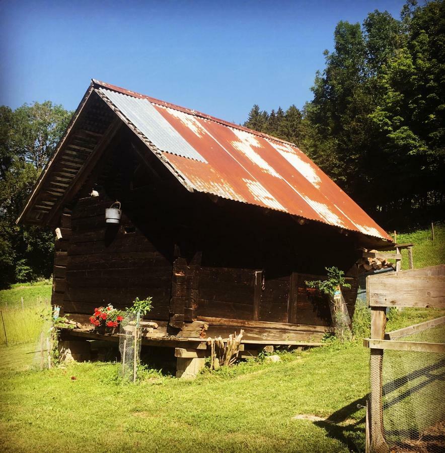 Вілла Ferme Familiale Chez Lili Alex Екстер'єр фото